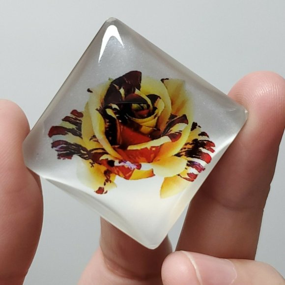 15 pieces Refrigerator Magnet Decorative Square Magnet - Picture 6 of 12